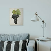Sumn Industries гроздобер овошје со овошје грозје супер платно wallидна уметност од визија студио