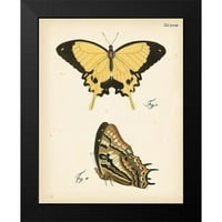 Визија Студио Црна Модерна Рамка Музеј Уметност Печати Насловена-Пеперутка ПРОФИЛ II