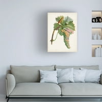 Пјер Антоан Поито 'суво грозје де Корунте' платно уметност